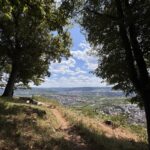 Schmaler Aussichtspfad unter großen Bäumen mit Blick über das Tal und die Ortschaft darunter.