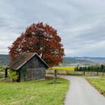Kleines Holzhaus steht an einem Weg vor einem großen rot gefärbten Baum, dahinter öffnet sich die Landschaft des Tals.